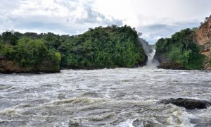 3 Days Murchison Falls Self Drive Safari in Uganda