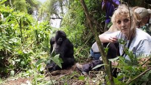 4 days Bwindi gorilla self-drive tour and wildlife