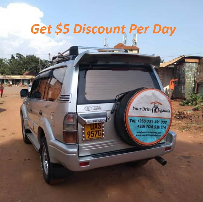 Your Drive Uganda 4x4 Car Rental Uganda & Self Drive Car Hire Services