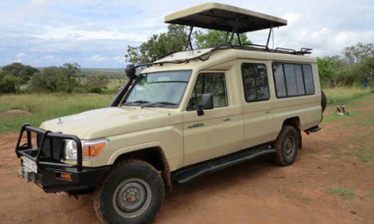 Safari Land Cruiser