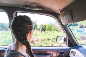 Selbstfahrer Uganda