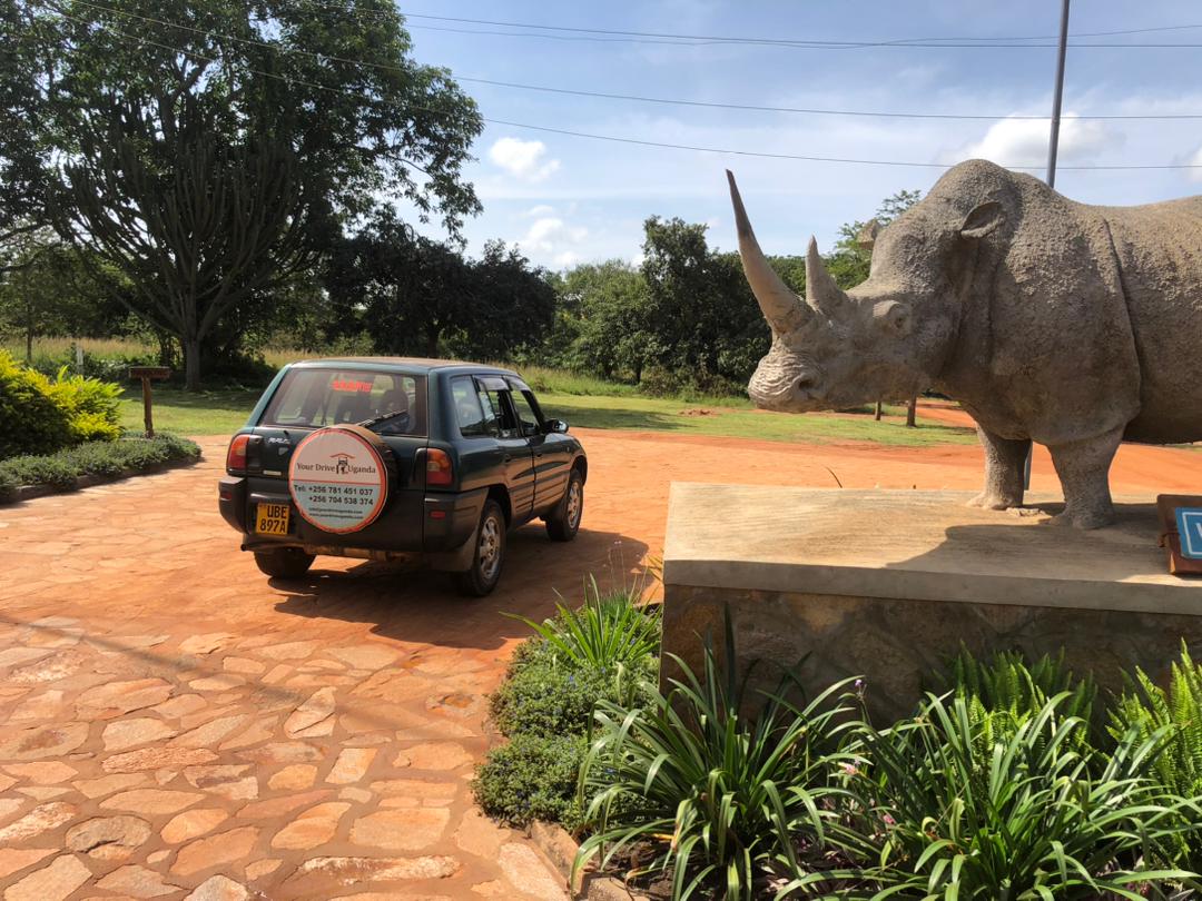 popular car models for rent in Uganda