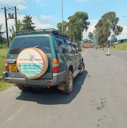 Renting a car for a business trip in Uganda