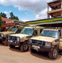 car rental Uganda from Austria